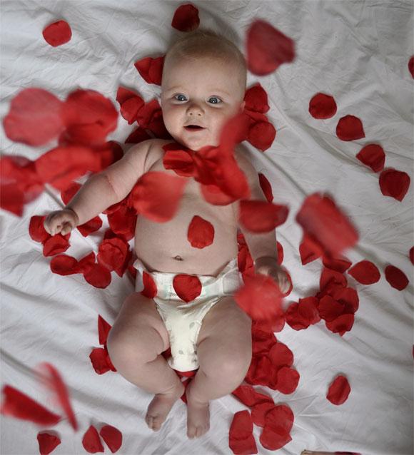 Arthur i American Beauty